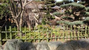 垣根の竹 (3)