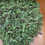 %e9%bb%92%e8%b1%86-2